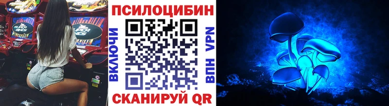 даркнет сайт Дедовск Галлюциногенные грибы мицелий